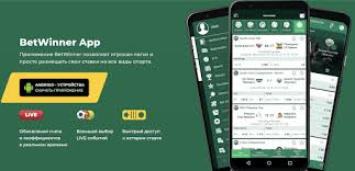 Everything You Need to Know About BetWinner Bets 8