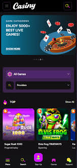 Exploring the World of Online Gaming at Casiny1