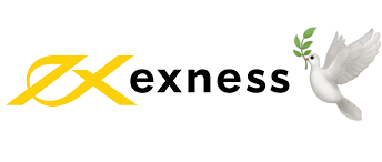 The Comprehensive Guide to Exness Company The Comprehensive Guide to Exness Company
