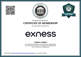 Effortless Movements Exness Mobile Trading for Everyone Effortless Movements Exness Mobile Trading for Everyone
