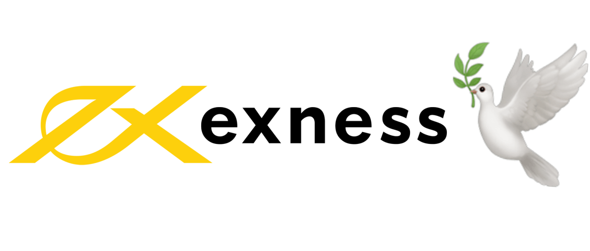 Understanding the Cash Deposit in Exness Account 3